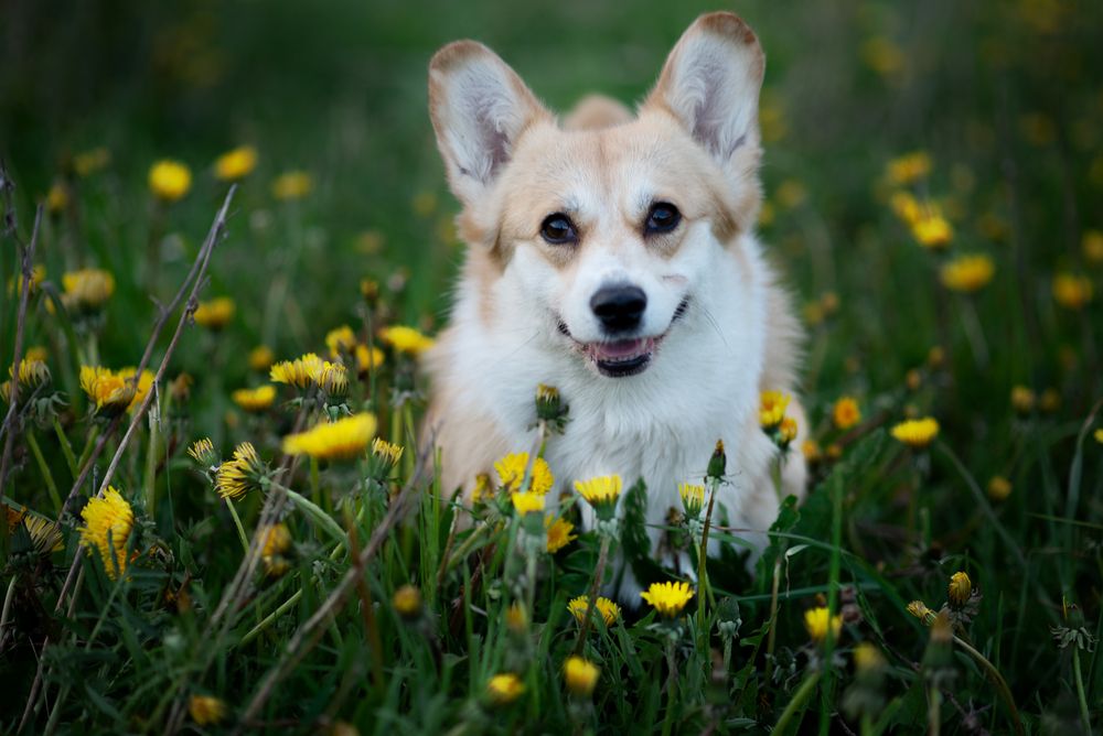 Photograph by Роза Нургалина