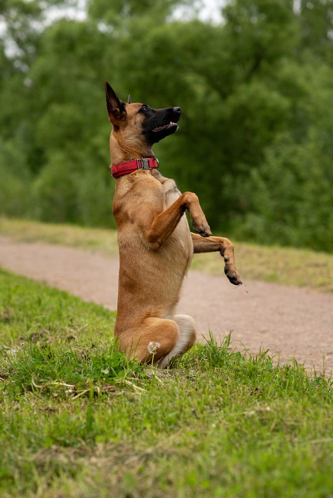 Photograph by Роза Нургалина