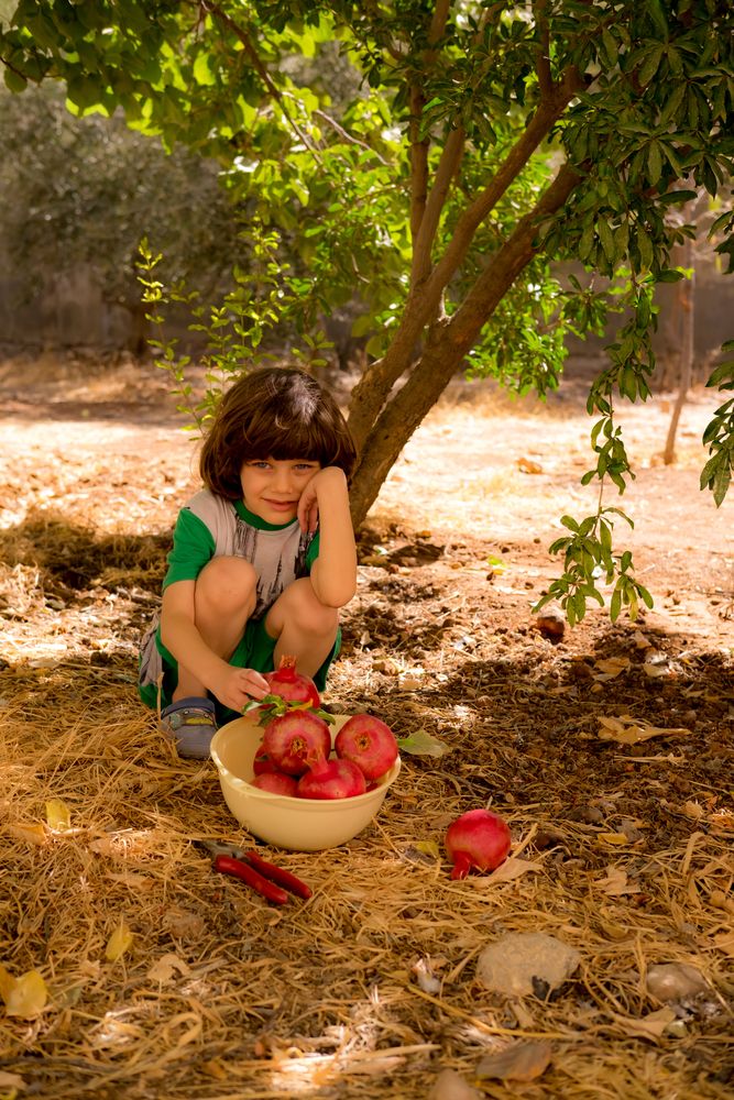 Фотография автора Omar Sanad
