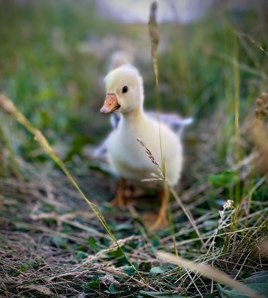 Photograph by Марина Козлова