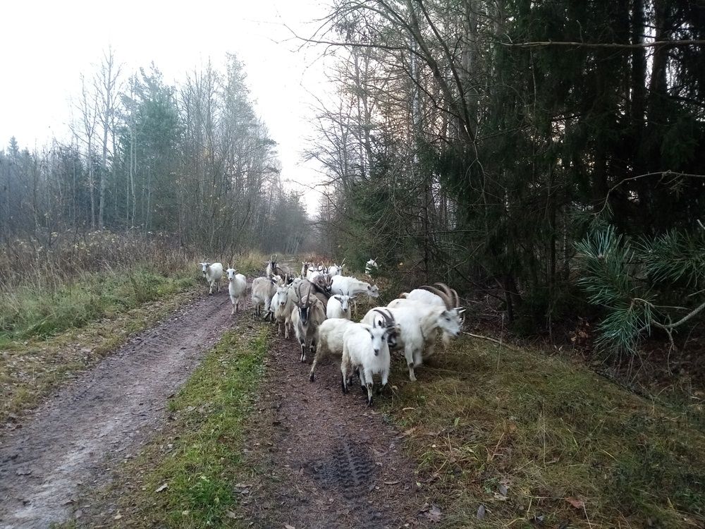 Photograph by Анна-Лаймуте Милошевич