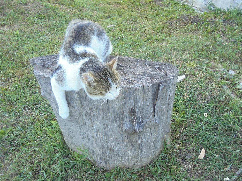 Photograph by Лилия Исхакова