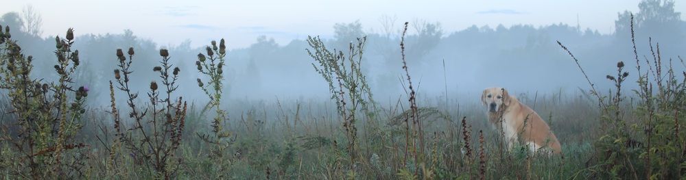 Photograph by Михаил Штепо