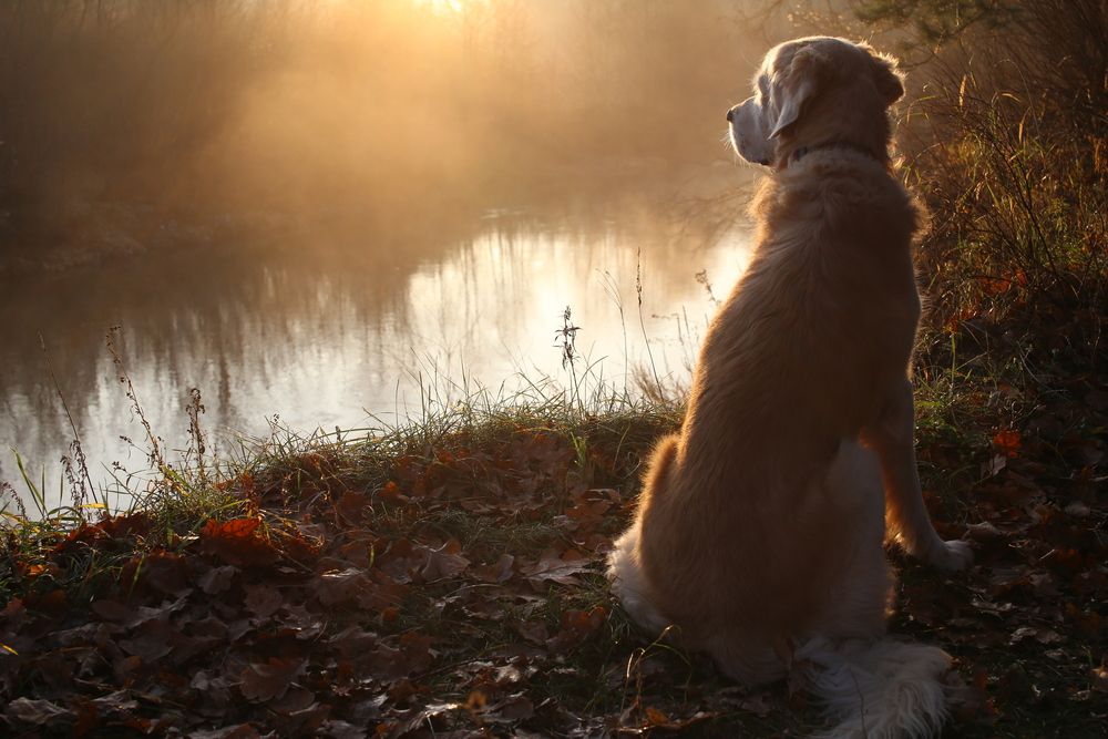 Photograph by Михаил Штепо