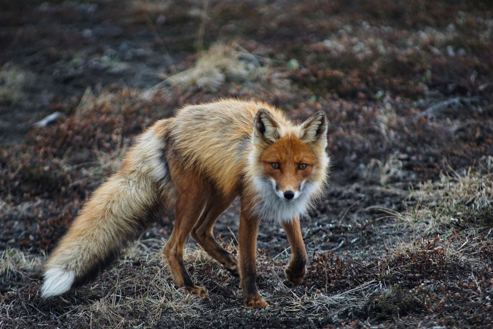 Фотография автора Алексей