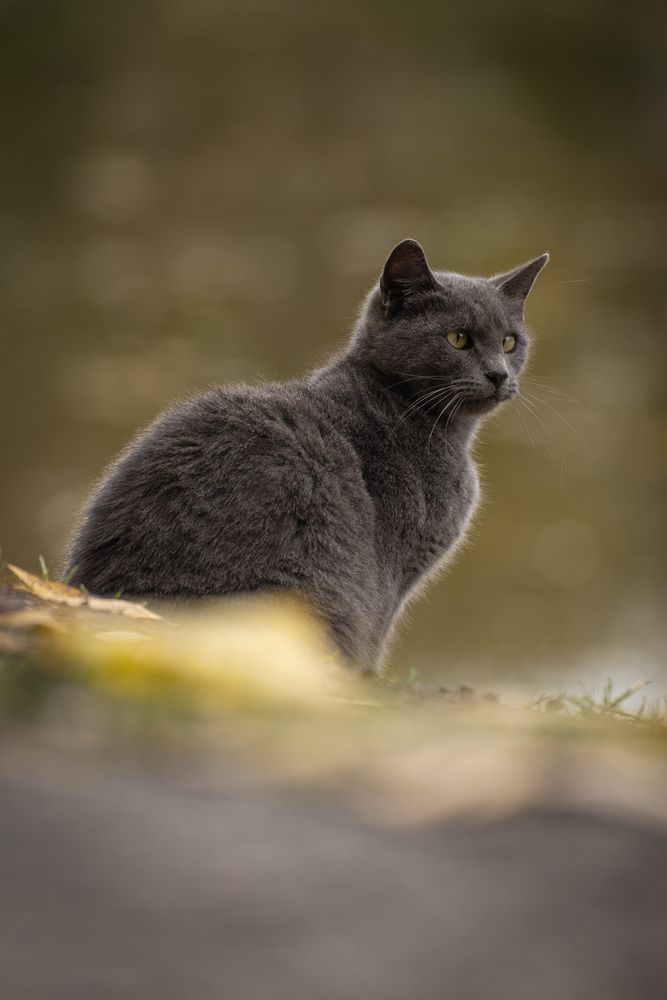 Photograph by Светлана Зимина