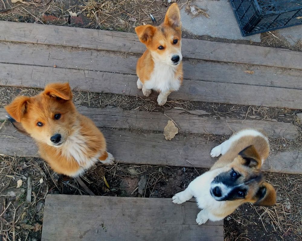 Photograph by Светлана Середина