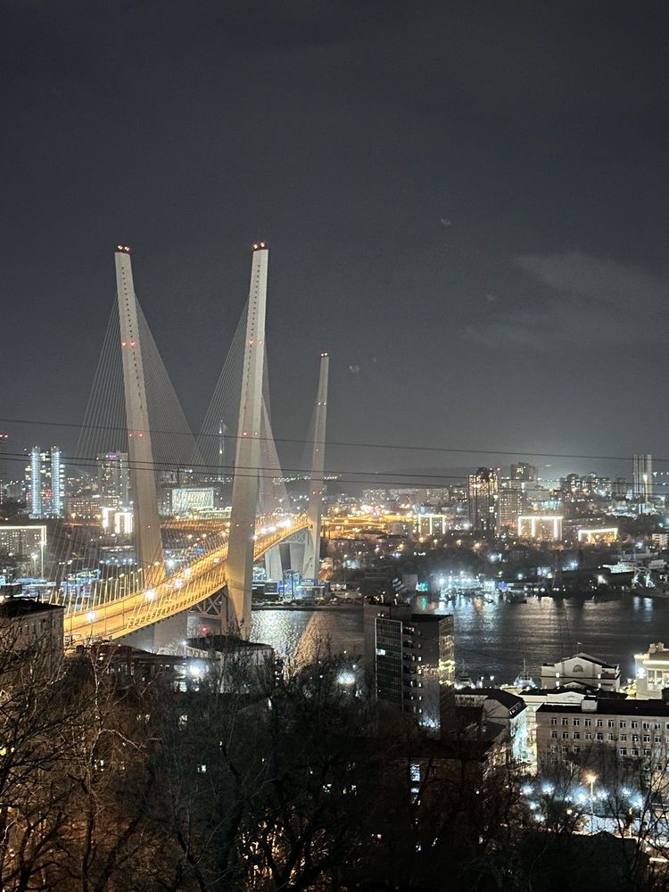 Владивосток ночной.