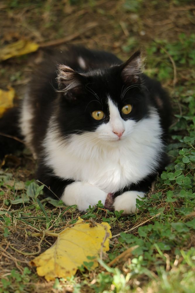 Photograph by Cengiz Yalcin