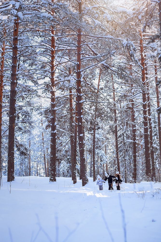 Photograph by Мария Кравченко