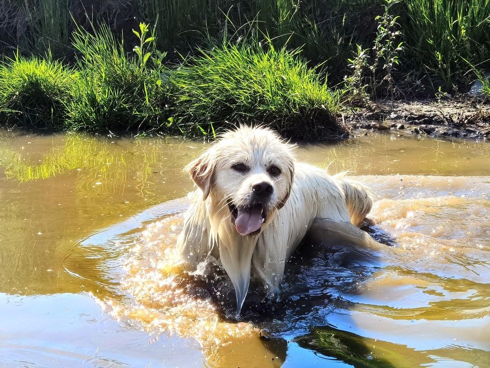 Photograph by Alen Brkić