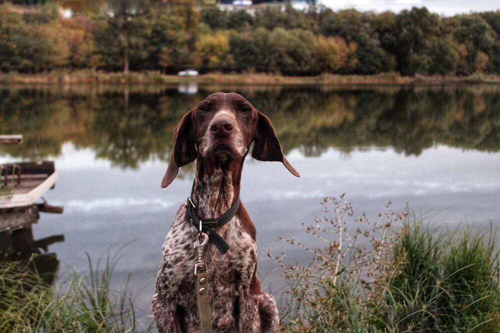 Photograph by Юлия Чурина