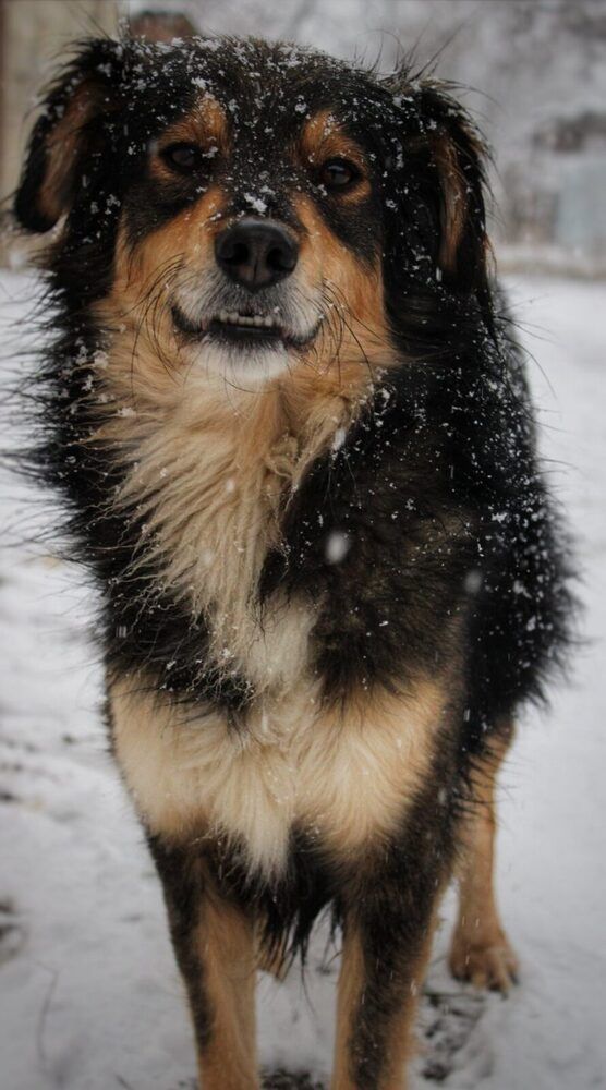 Photograph by Юлия Чурина