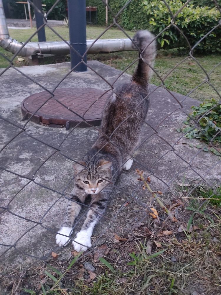 Photograph by Наталья Билай