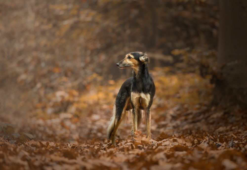 Photograph by Annemarie Visser