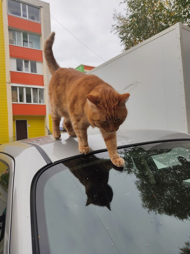 Photograph by Наталья Билай