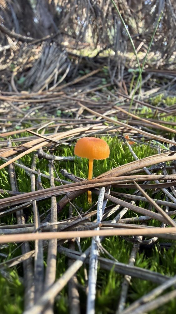 Photograph by Ирина Молибог