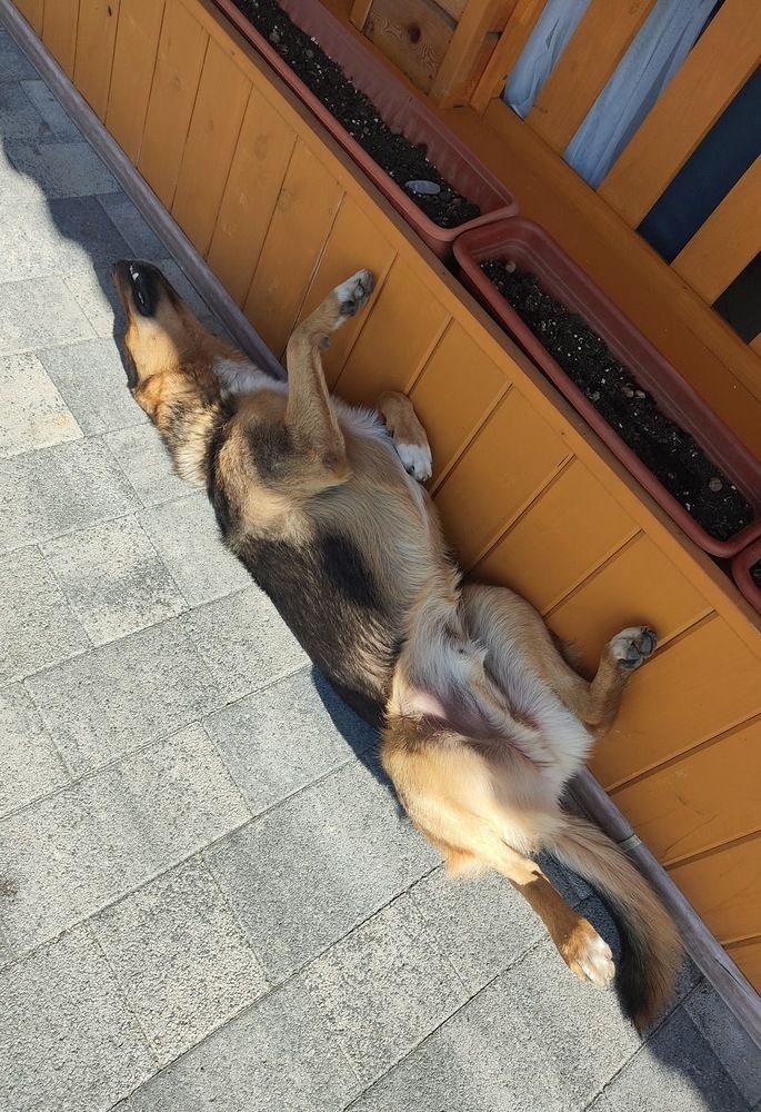 Photograph by Наталья Билай