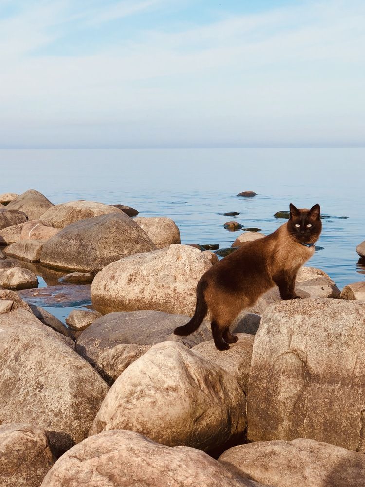Photograph by Елена Шведова