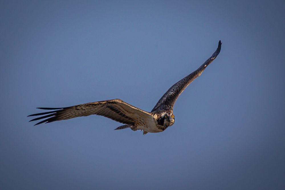 Photograph by Георгий