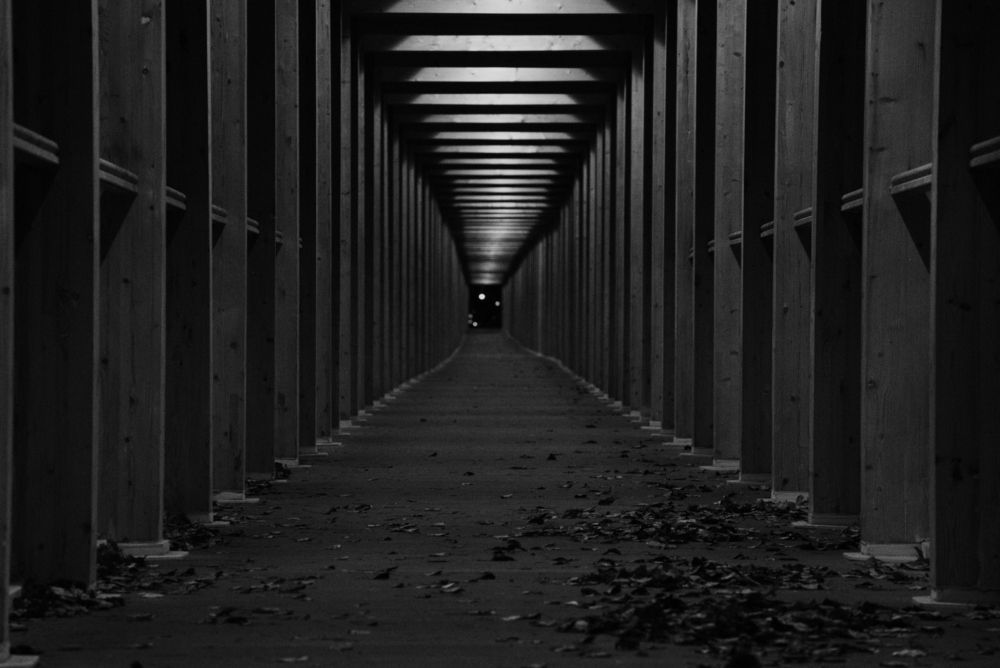 Photograph by Семен Батов