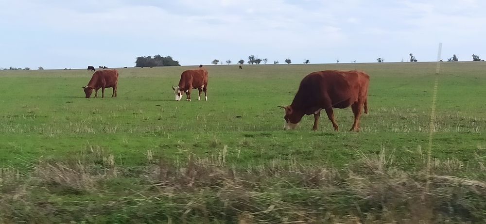 Photograph by Валерия Сопова