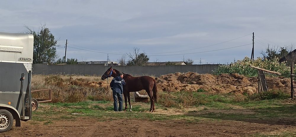 Photograph by Валерия Сопова