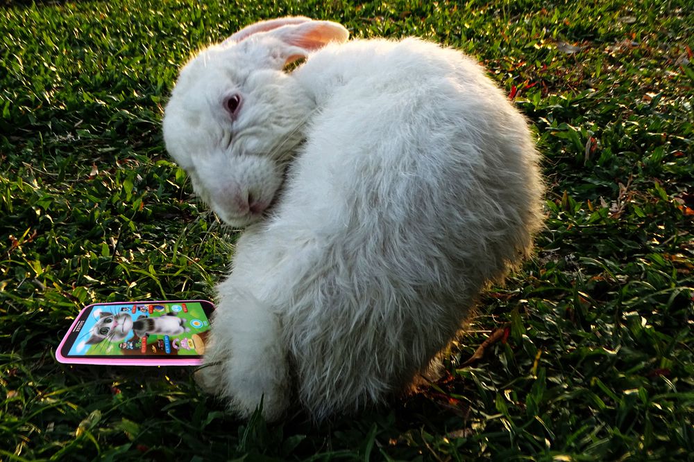 Photograph by Vy Van Bui