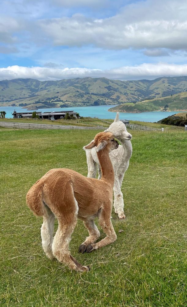 Photograph by Марина