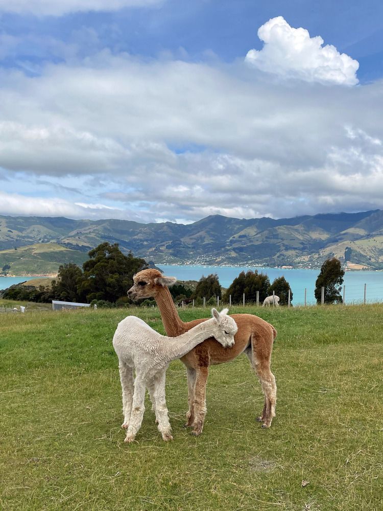 Photograph by Марина