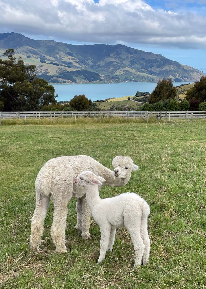 Photograph by Марина