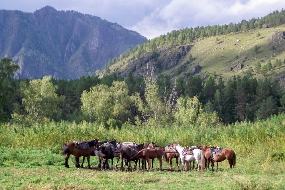 Photograph by Olga Smirnova