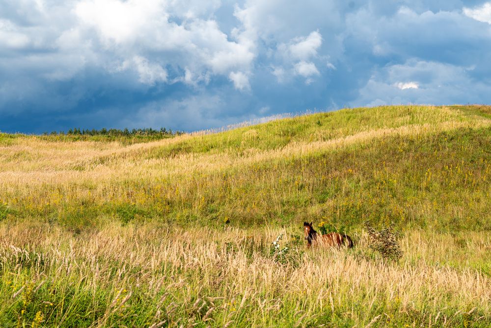 Photograph by Olga Smirnova