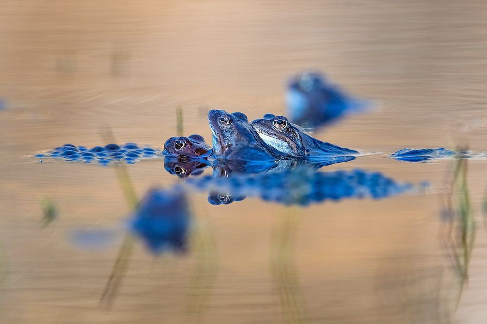 Photograph by Абросимов Александр