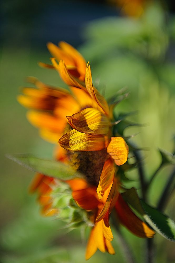 Photograph by Ирина