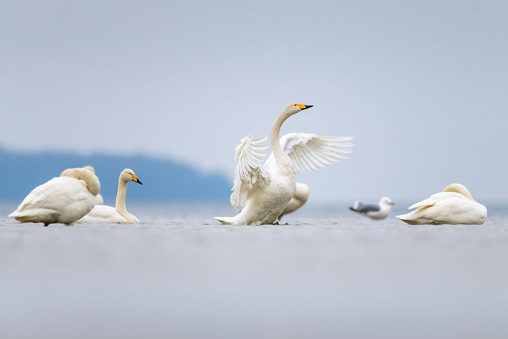 Photograph by Абросимов Александр