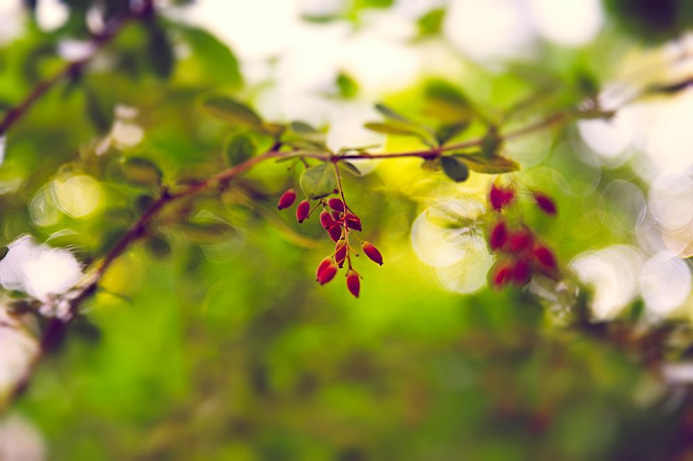 Photograph by Ирина