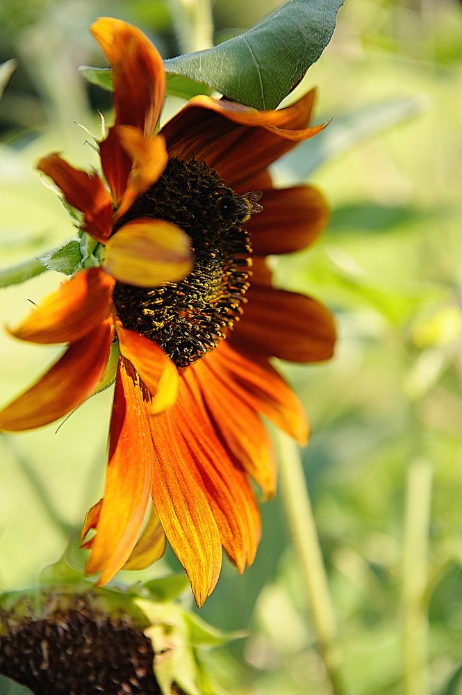 Photograph by Ирина