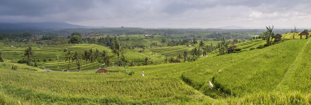 Фотография автора Dmitrij