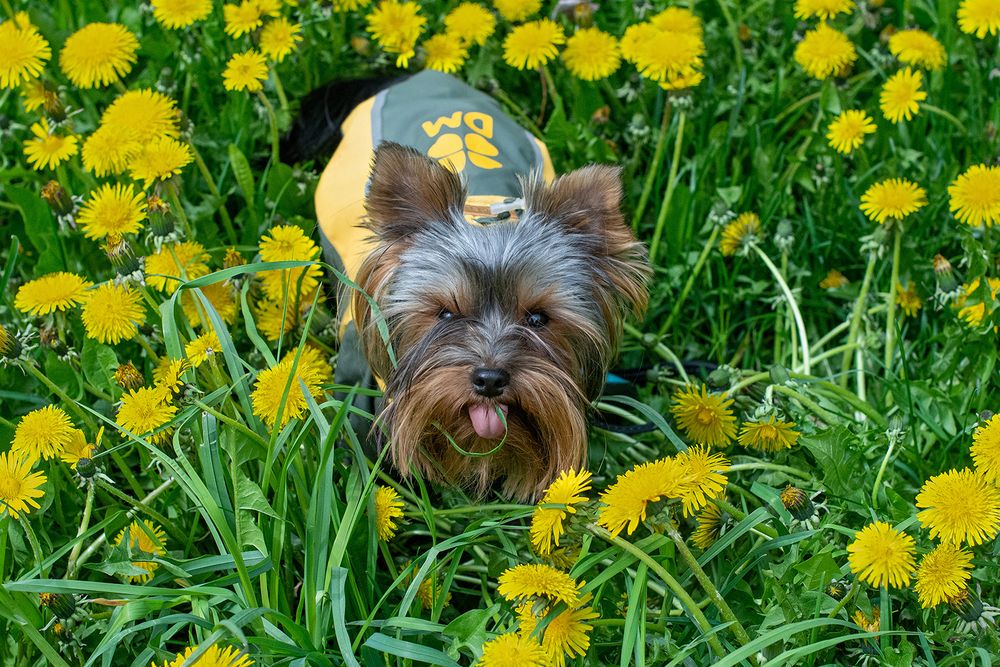 Photograph by Лидия Суюрова