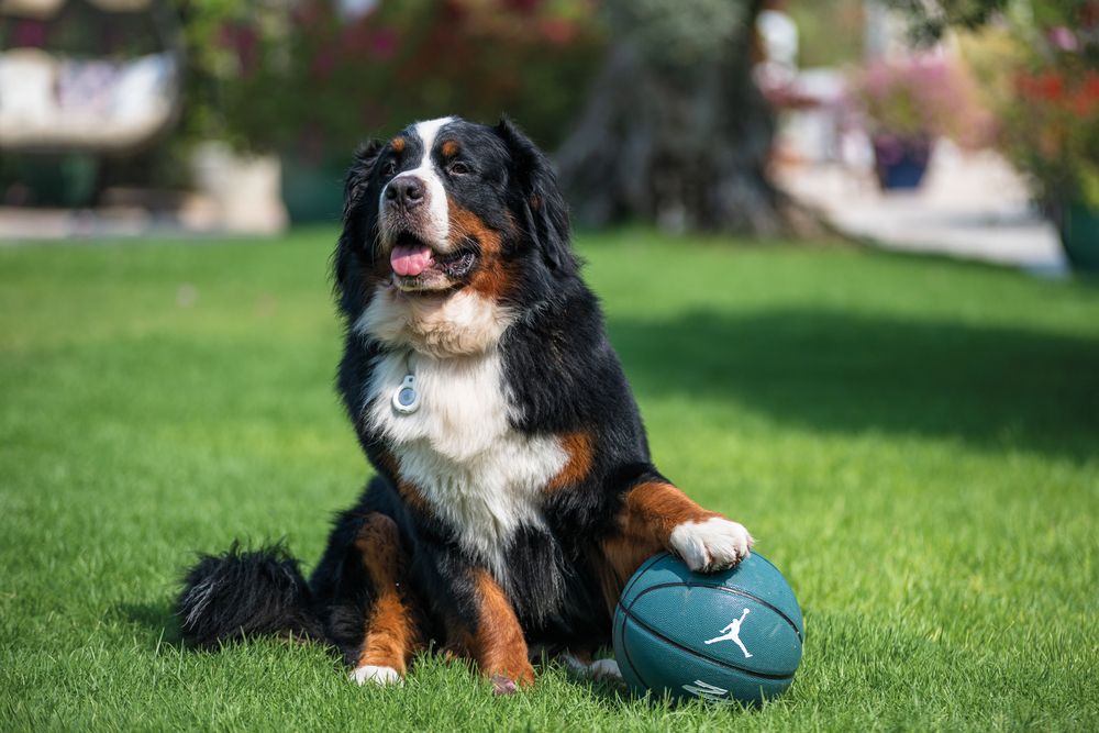 Photograph by Демьян Лопатов