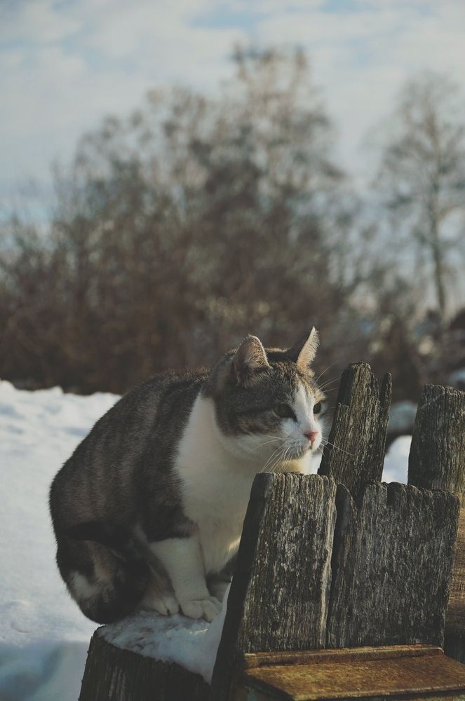 Photograph by Зыкова Мария