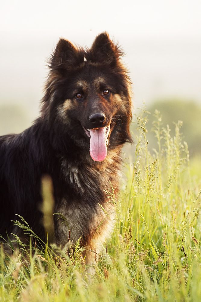 Photograph by Ольга Сельницына