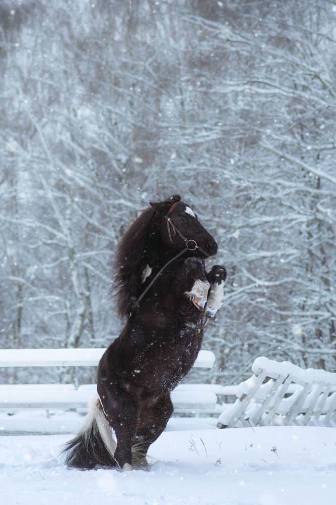 Photograph by Наталья Золотарева