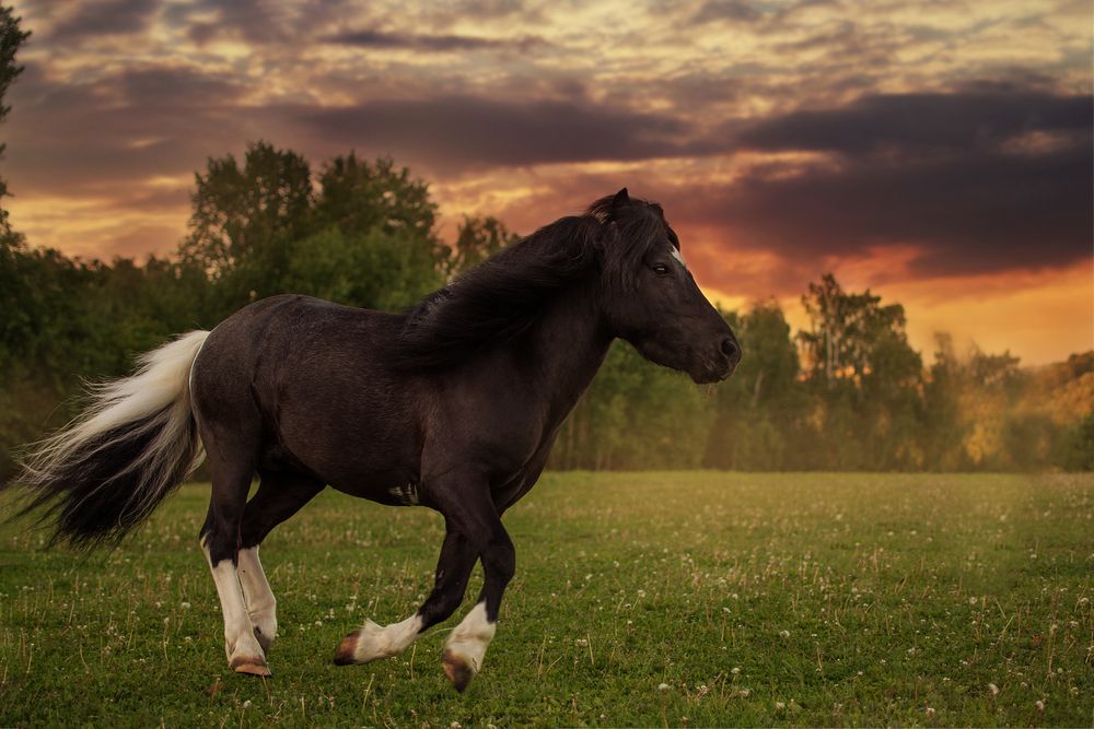 Photograph by Наталья Золотарева