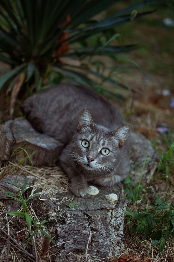 Photograph by Наталья Золотарева