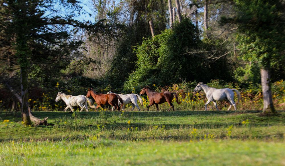 Photograph by Елена Данченко