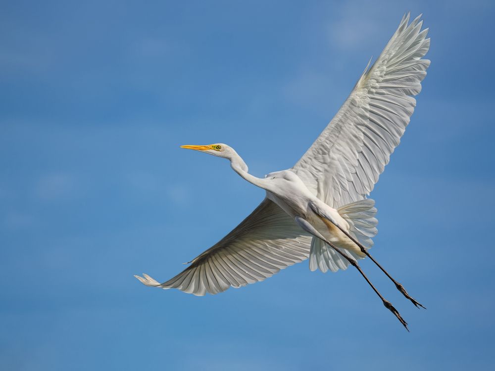 Photograph by Марина Ческис