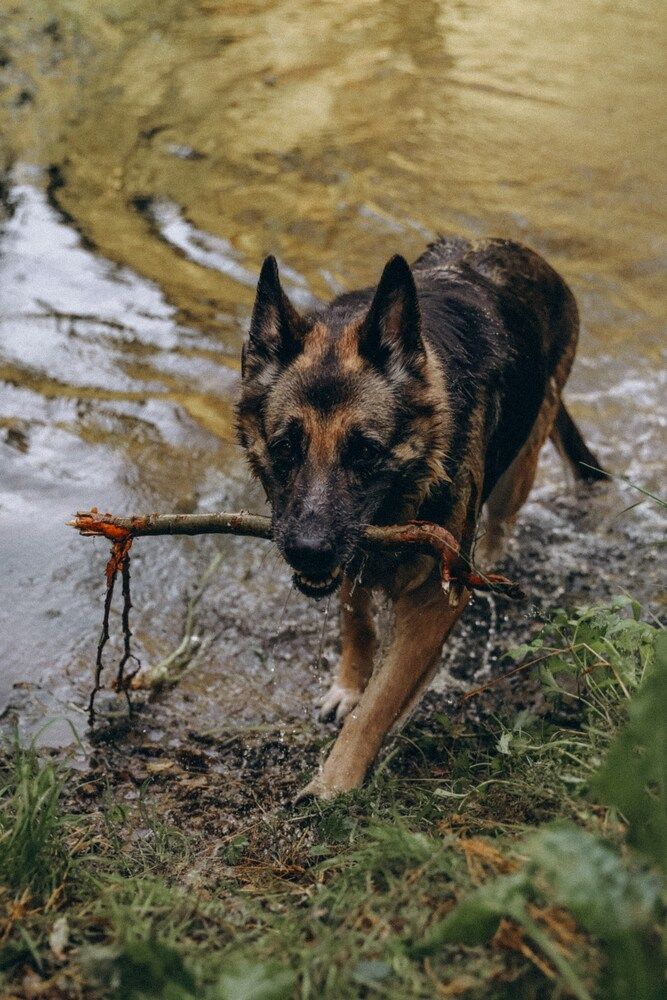 Photograph by Екатерина