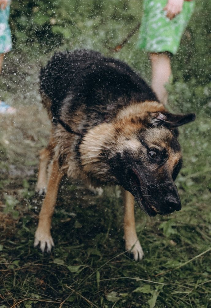 Photograph by Екатерина